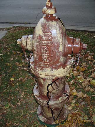 Central and Summit - Squirrel